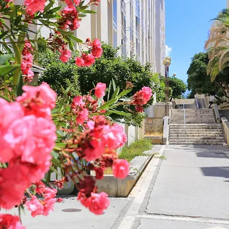 With Wifi - 13723 Сплит